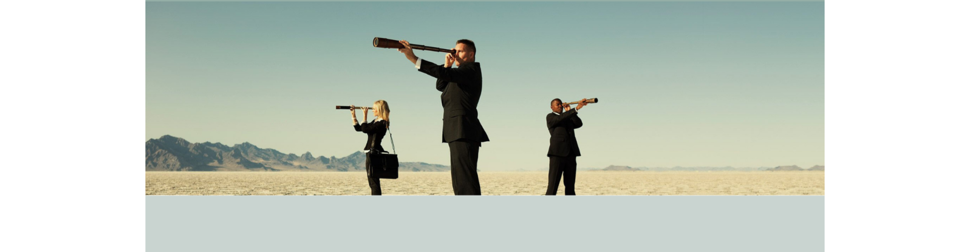 Niche 212 banner