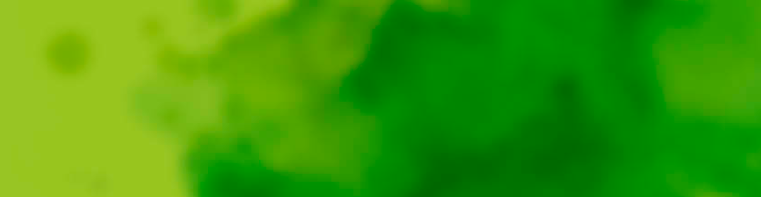 Izzy Phillips banner