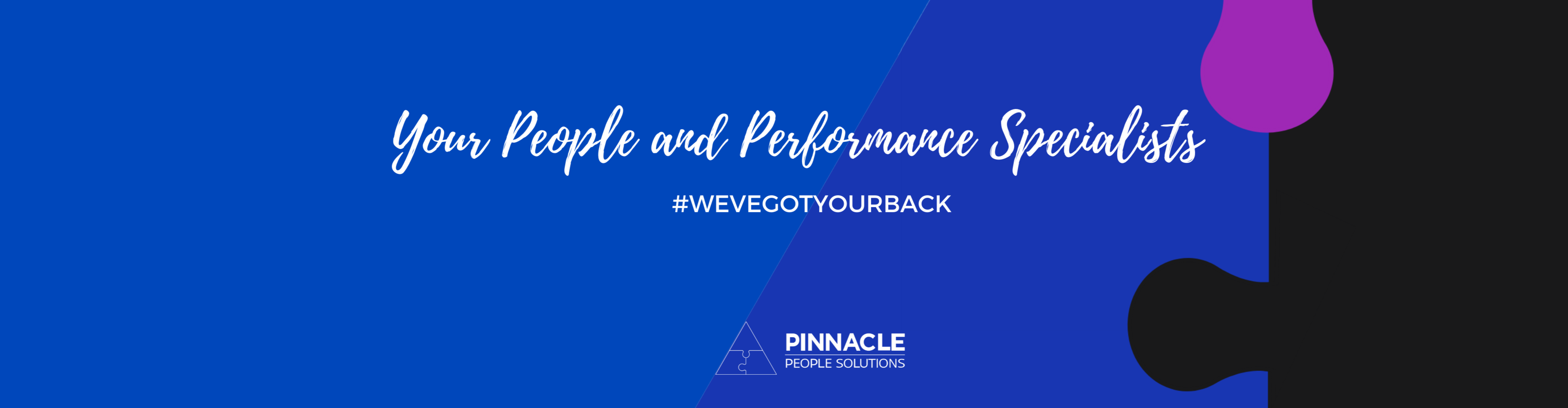 Pinnacle People Solutions Australia banner