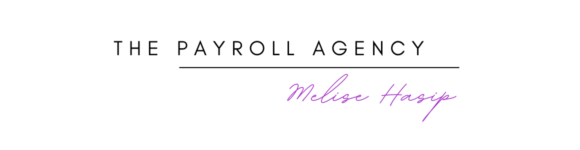 The Payroll Agency banner