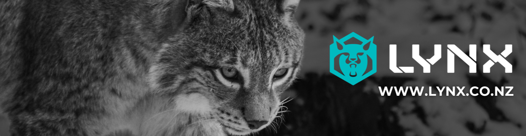Lynx Recruitment Ltd banner