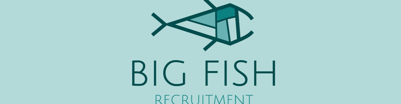 Big Fish Recruitment banner