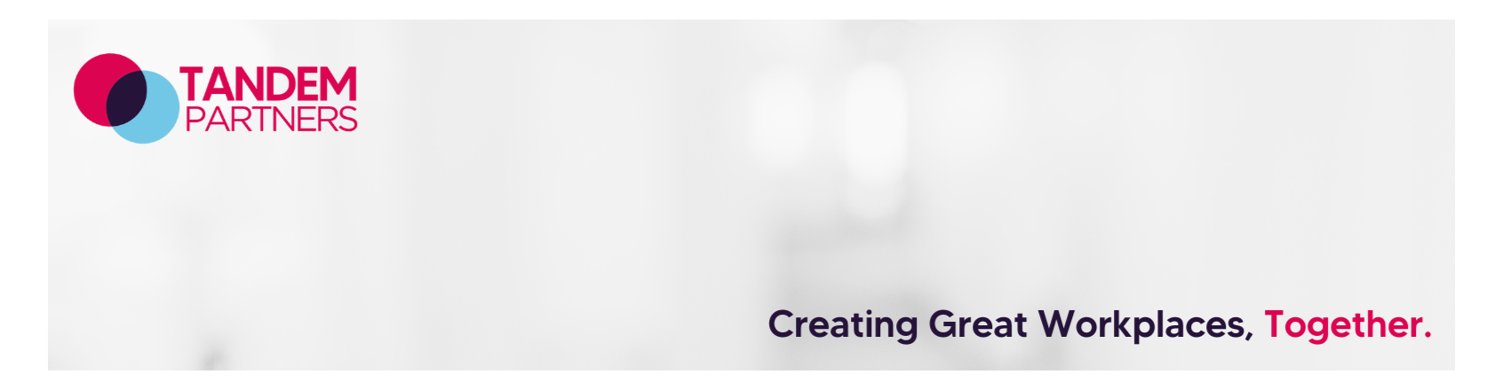 Matthew Saitta banner