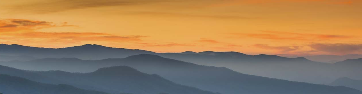 Shay Duldig banner