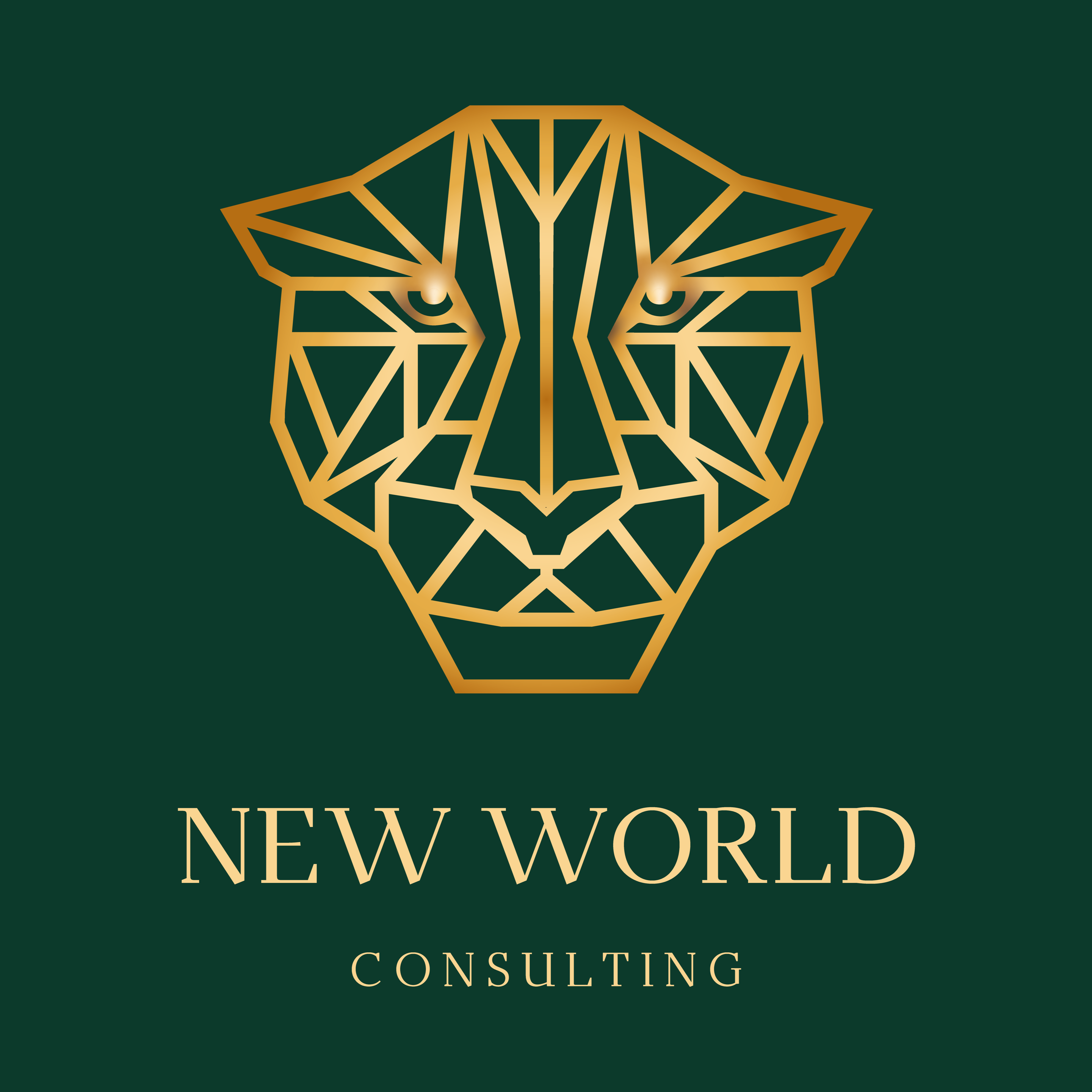 Agency Logo